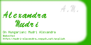 alexandra mudri business card